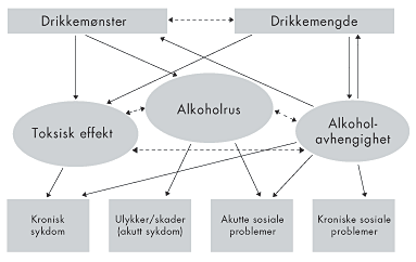 Drikkemønster