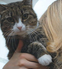 Jente og katt