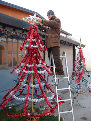 Juletre i San Patrignano