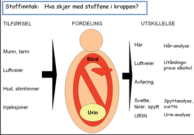 Figur