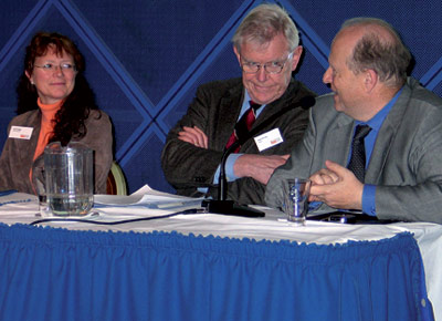 Paneldebattanter