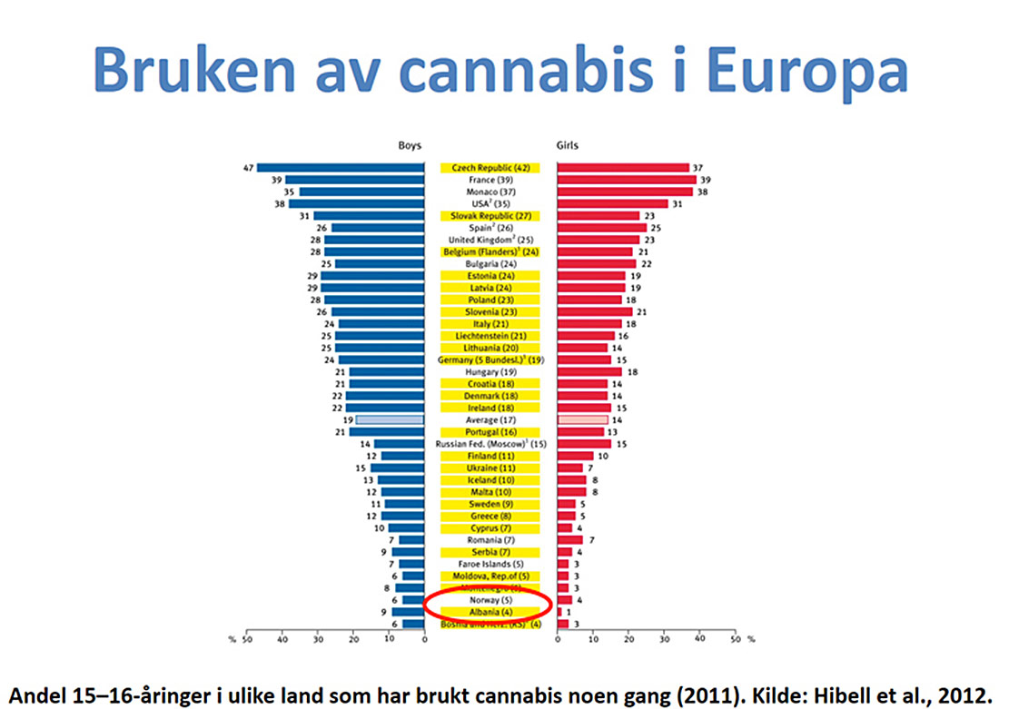 Skolegaard_Skjema_02-original.jpg